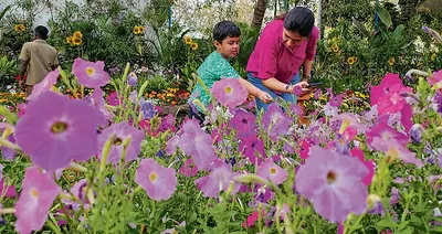 उत्सवधर्मिता का संदेश देता ऋतुराज का आगमन