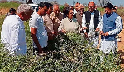 किसानों को 50 हजार रुपये प्रति एकड़ मुआवजा दे सरकार   किरण चौधरी