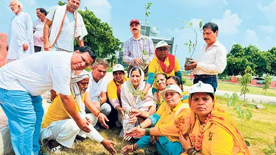 हर व्यक्ति जरूर लगाए एक पौधा   सरोज राठी