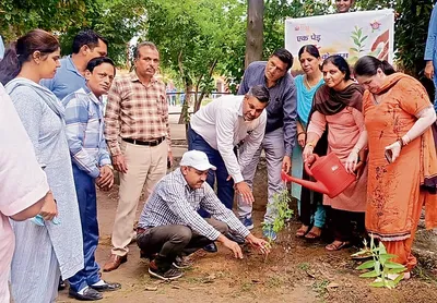 जिला शिक्षा अधिकारी ने कन्या स्कूल में किया पौधरोपण