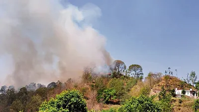 12 घंटे से लगी आग ने जलाए टिक्कर ताल के जंगल