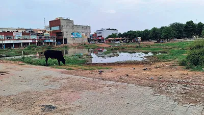 दूसरों को सीएम बनाने वाला जींद कभी नहीं बन पाया सीएम सिटी