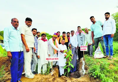 सुरक्षित भविष्य के लिए पौधे लगाना जरूरी   कुलदीप यादव