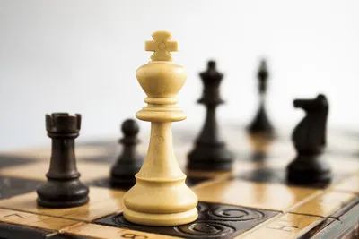अर्जुन एरिगैसी ने स्टीफन अवग्यान मेमोरियल शतरंज जीता