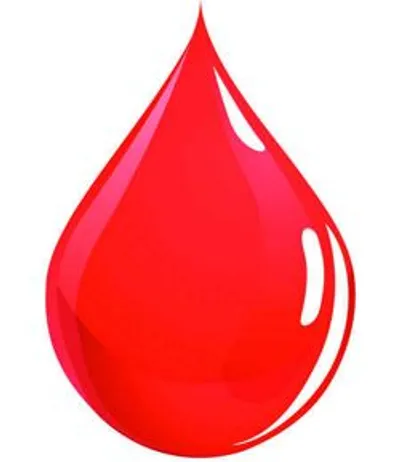 शिविर में 67 युवाओं ने किया रक्तदान