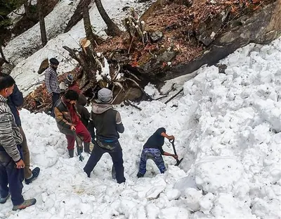 सेना ने बर्फबारी में फंसे 80 लोगों को बचाया