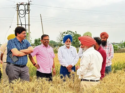 सरफेस सीडर से गेहूं उगाने वाले किसानों को सराहा