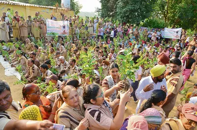 डेरा प्रमुख ने यूपी में शुरू किया पौधरोपण अभियान