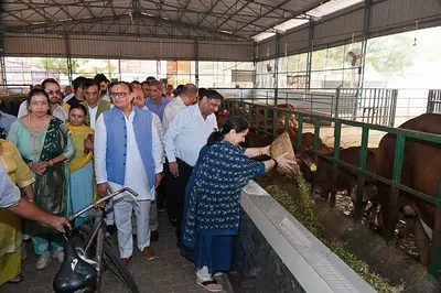 गोपाष्टमी पर गौशाला में विधायक ने की पूजा अर्चना