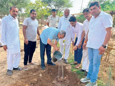 सड़कों पर पशु छोड़ने वाले मालिकों पर सख्त कार्रवाई की जाए   मंडलायुक्त