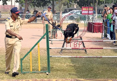 आईटीबीपी के कुत्तों ने दिखाये विशेष करतब