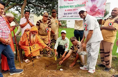 डेरा सच्चा सौदा के सेवादारों ने पौधारोपण कर दी हरियाली की सौगात