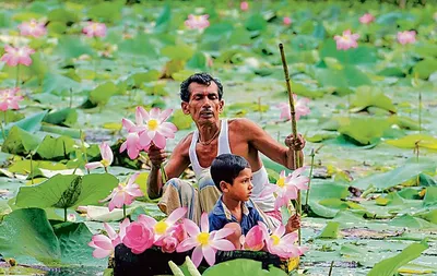 बीज के गलने से ही खिलता है पुष्प