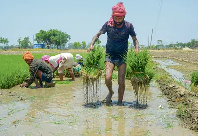 समाज के अंतिम व्यक्ति को मिले विकास का लाभ