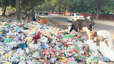 मोहाली शहर का नहीं है कोई डंपिंग ग्राउंड