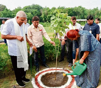 उपराष्ट्रपति की पत्नी सुदेश ने लगाया पीपल