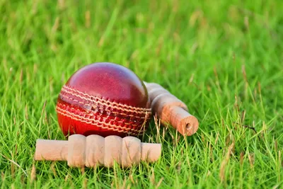 वेस्टइंडीज को बाहर कर दक्षिण अफ्रीका सेमीफाइनल में