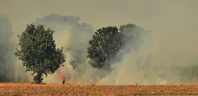 मशीन न मिलने पर पराली जलाने को मजबूर किसान