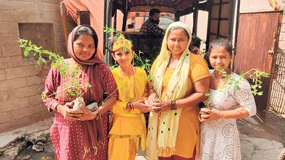 पौधे बांटकर दिया पर्यावरण संरक्षण का संदेश