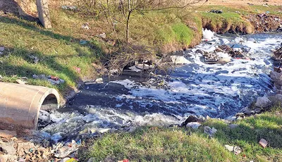 धारूहेड़ा   प्रदूषित पानी छोड़ने वालों के खिलाफ कानूनी कार्रवाई की मांग