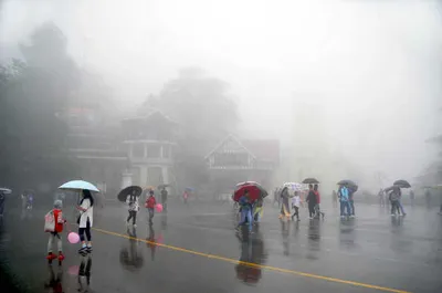 himachal weather  हिमाचल में अधिकतर हिस्सों में भारी बारिश  115 सड़कें बंद