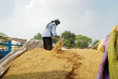 कागजी राइस मिल में मिलिंग के लिए दे दिया धान