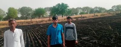 किसान की दो एकड़ गेहूं की फसल में लगी आग