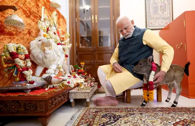 video  पीएम मोदी के आवास पर गाय के रूप में आया नया सदस्य  x पर दी जानकारी