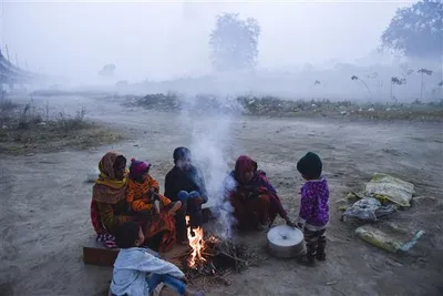 शीतलहर जारी पटियाला और भिवानी में शिमला जैसी स्थिति