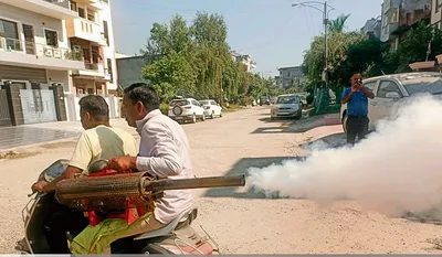 डेंगू और चिकनगुनिया ने यमुनानगर में बरपाया कहर  सैकड़ों मामले आए सामने