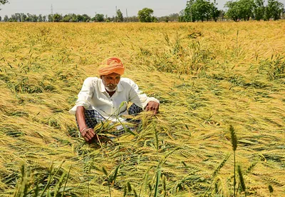 कर्ज वसूली नीति में विसंगति के यक्ष प्रश्न