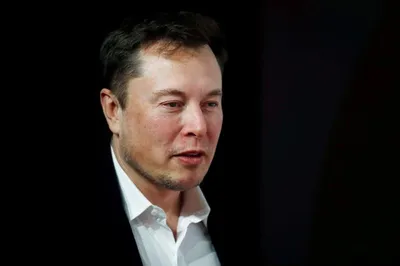 elon musk ट्रंप के समर्थन में आए  कहा  उनको लोकतंत्र के लिए खतरा बताने वाले खुद असली खतरा