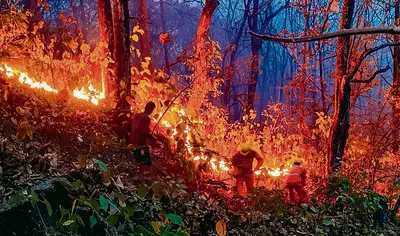 रोकथाम की पूर्व तैयारी से थमेगी वनों की आग