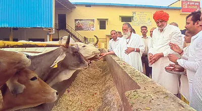 प्रदेश सरकार गांवों में गौचरांद की प्रथा दोबारा करेगी शुरू   कृषि मंत्री