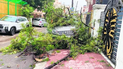 यमुनानगर में वर्षा  आंधी से पेड़ गिरे  मकान कारें क्षतिग्रस्त