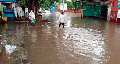 23 एमएम बारिश में बहादुरगढ़ की कई कॉलोनियां जलमग्न
