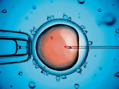 कृत्रिम मानव भ्रूण के विकास की दिशा में बड़ा कदम
