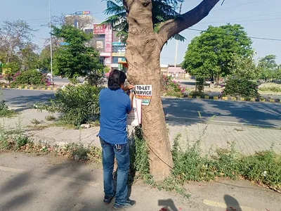 100 से अधिक पेड़ों को कील  पोस्टर मुक्त किया