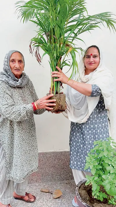 डा  नीना राठी ने कई जगहों पर लगाये पौधे