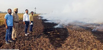 किसानों ने पराली में लगायी आग