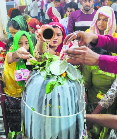 बिल्व वृक्ष की पूजा से तीर्थों का पुण्य