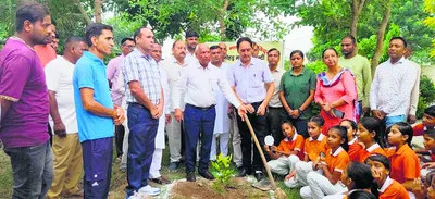 पौधों का करें संरक्षण  वातावरण को शुद्ध करने में दें योगदान   रामकुमार कश्यप