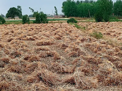 बूंदाबांदी से गर्मी से राहत  किसानों को फसल की चिंता