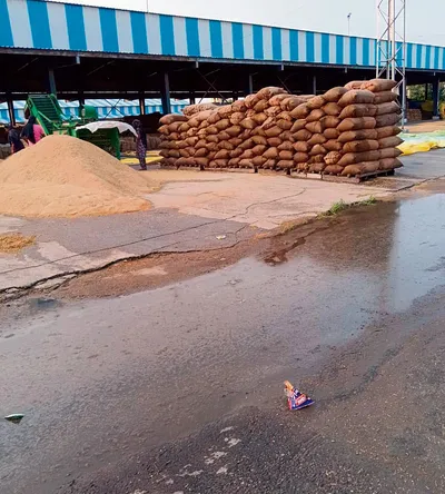 अनाज मंडी चौक पर किसानों का धरना