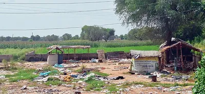 गौमांस की जगह दूसरे पशु का मांस होने की पुष्टि