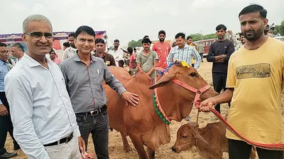 गोगामेड़ी मेले में पशु प्रतियोगिता आयोजित  विजेता सम्मानित