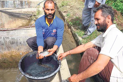 ट्राउट मछली पालन कर लिख डाली कामयाबी की कहानी