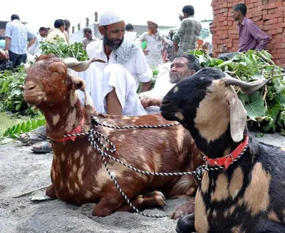 बकरीद की तिथि को लेकर संशय खत्म  मुस्लिम धर्मगुरुओं ने बताई तिथि