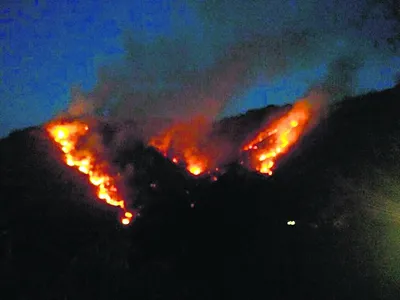 अरावली की पहाड़ियों में  लगी आग बेकाबू   वनस्पति और जीव जंतु जले