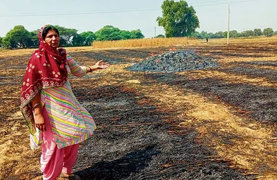 पराली की चिंगारी से पड़ोसी के खेत में आग  50 मण बाजरा जलकर स्वाह